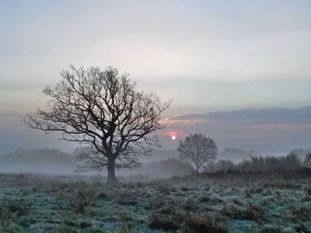 Wintry sun